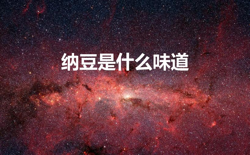 纳豆是什么味道（纳豆的味道特点及解析）