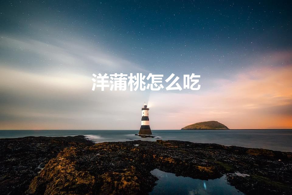 洋蒲桃怎么吃