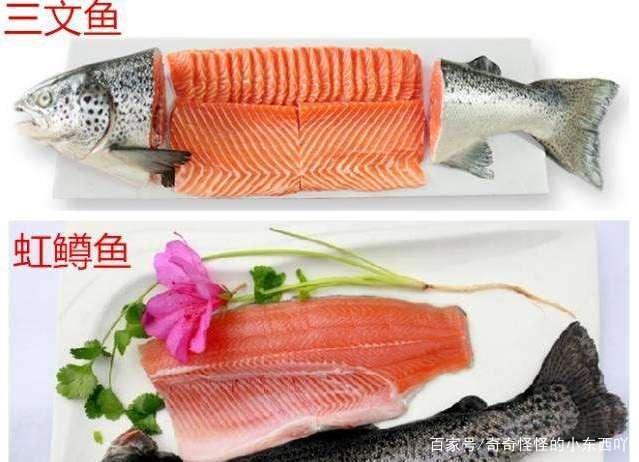 马哈鱼和三文鱼有什么区别（马哈鱼与三文鱼的不同之处）