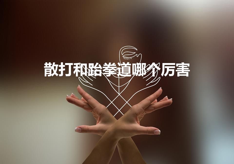 散打和跆拳道哪个厉害（跆拳道更厉害还是散打）
