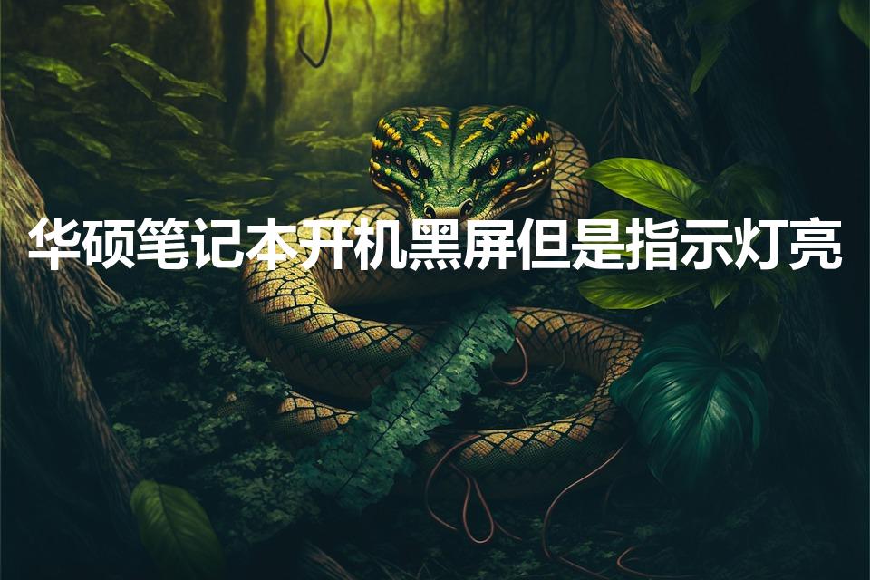 华硕笔记本开机黑屏但是指示灯亮