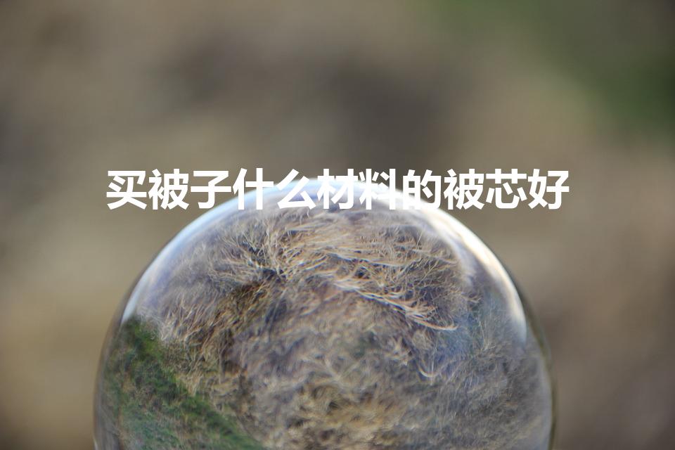 买被子什么材料的被芯好（被芯买哪种材质的好）