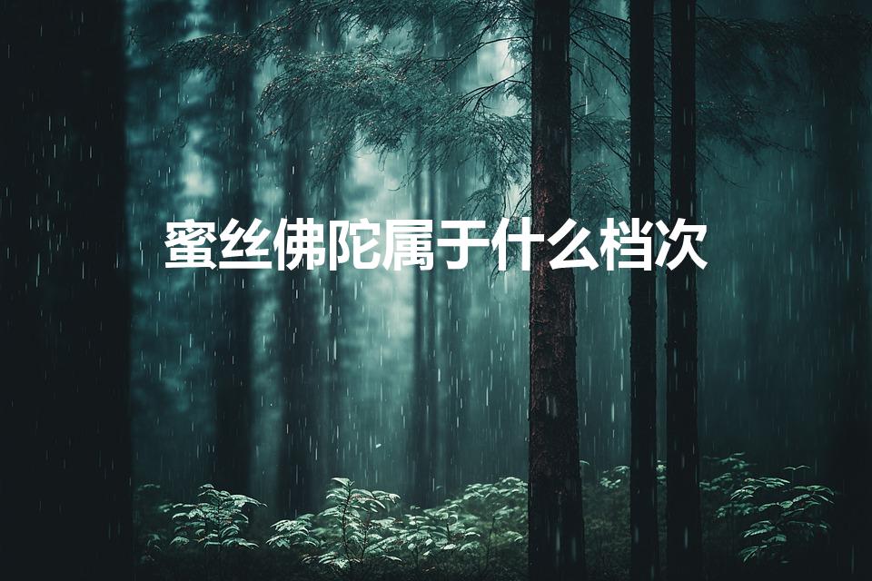 蜜丝佛陀属于什么档次（蜜丝佛陀怎么样）