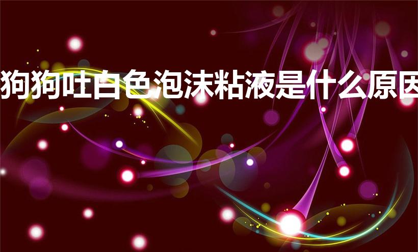 狗狗吐白色泡沫粘液是什么原因（狗狗吐了一滩白色泡沫粘液）