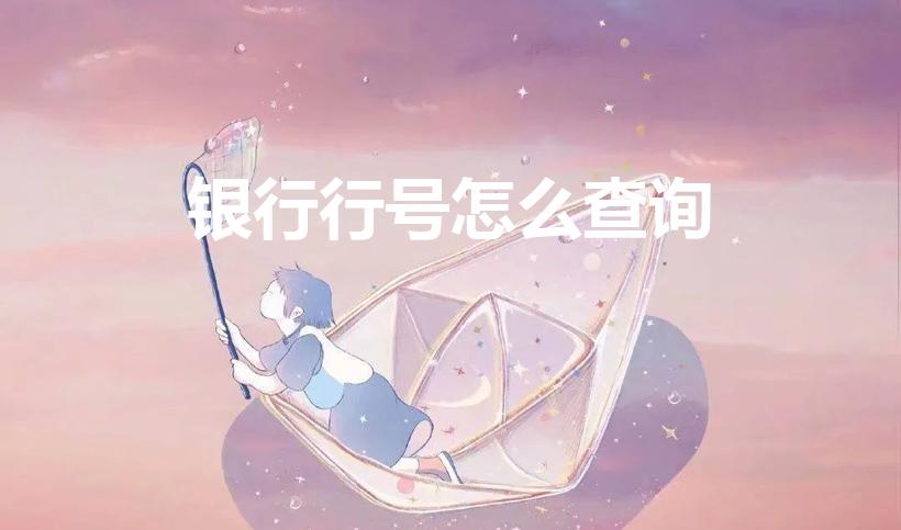 银行行号怎么查询（怎么查银行行号）