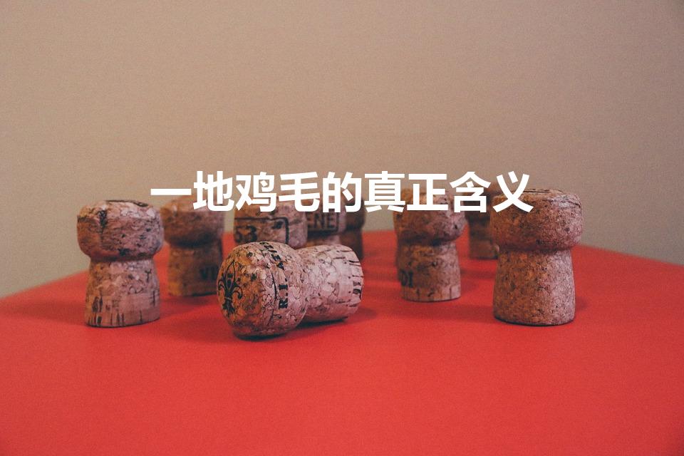 一地鸡毛的真正含义（一地鸡毛的意思是什么）