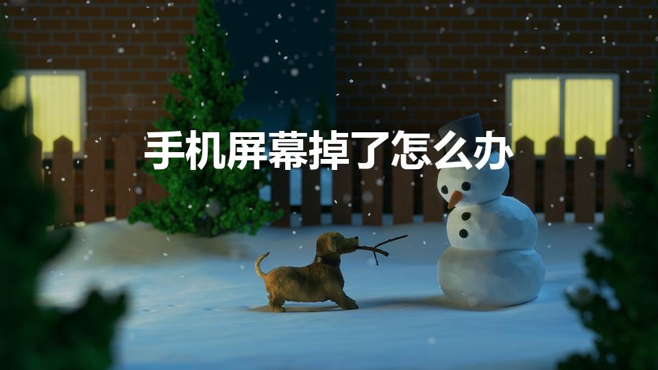 手机屏幕掉了怎么办（手机屏幕脱落怎么办）