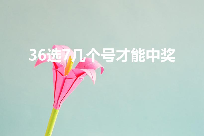 36选7几个号才能中奖（36选7开奖中奖规则是什么）