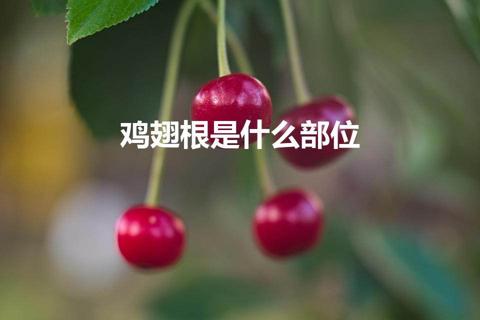 鸡翅根是什么部位（鸡翅根是鸡的哪个部位）