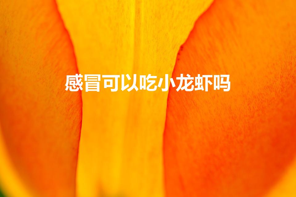 感冒可以吃小龙虾吗（感冒了能吃小龙虾不）