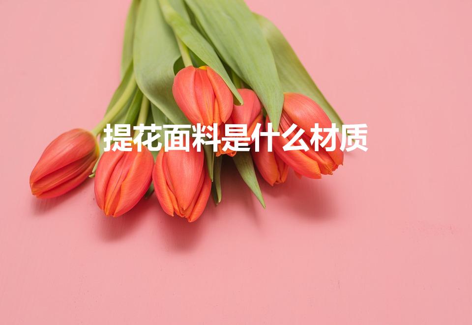 提花面料是什么材质（什么叫提花面料）