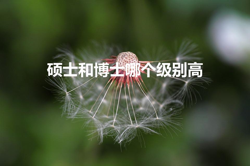 硕士和博士哪个级别高（硕士跟博士哪个级别高）
