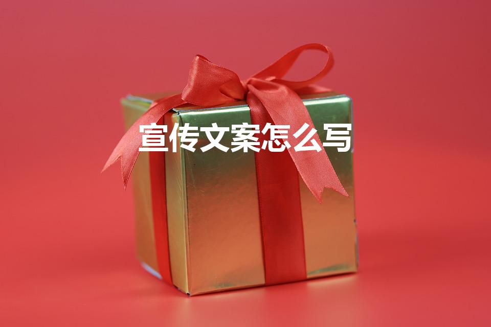 宣传文案怎么写（宣传文案 宣传文案怎么写）