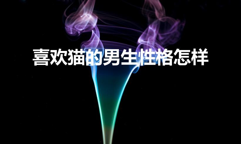 喜欢猫的男生性格怎样（喜欢养猫的男人性格是什么样的）