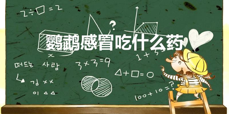 鹦鹉感冒吃什么药（鹦鹉感冒的症状及治疗方法）