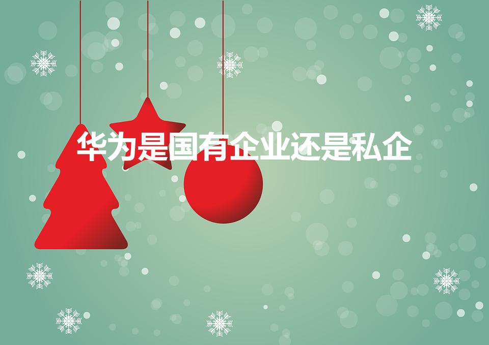 华为是国有企业还是私企（华为是国企还是民企啊）