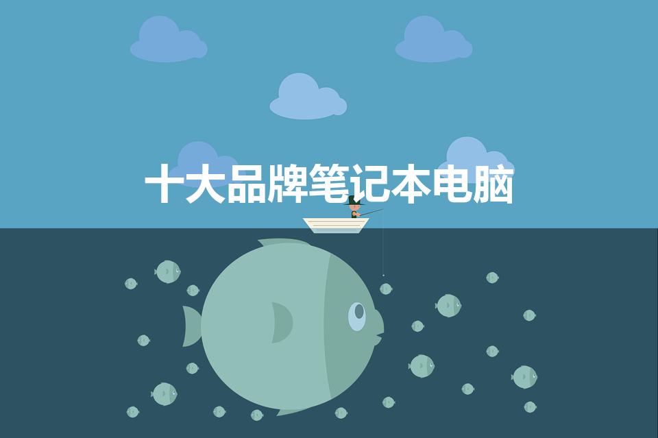 十大品牌笔记本电脑（全国笔记本十大品牌）
