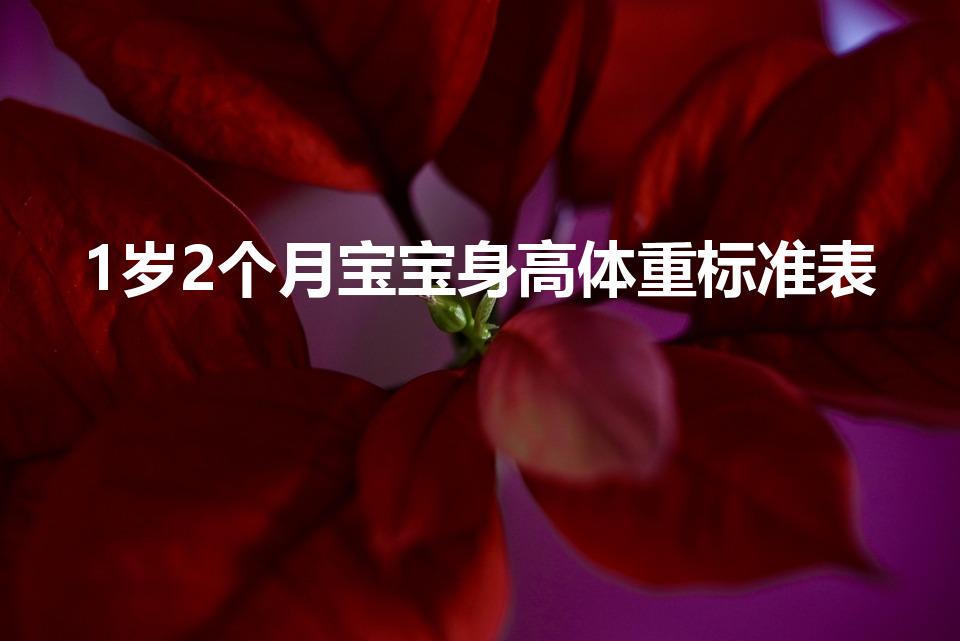 1岁2个月宝宝身高体重标准表