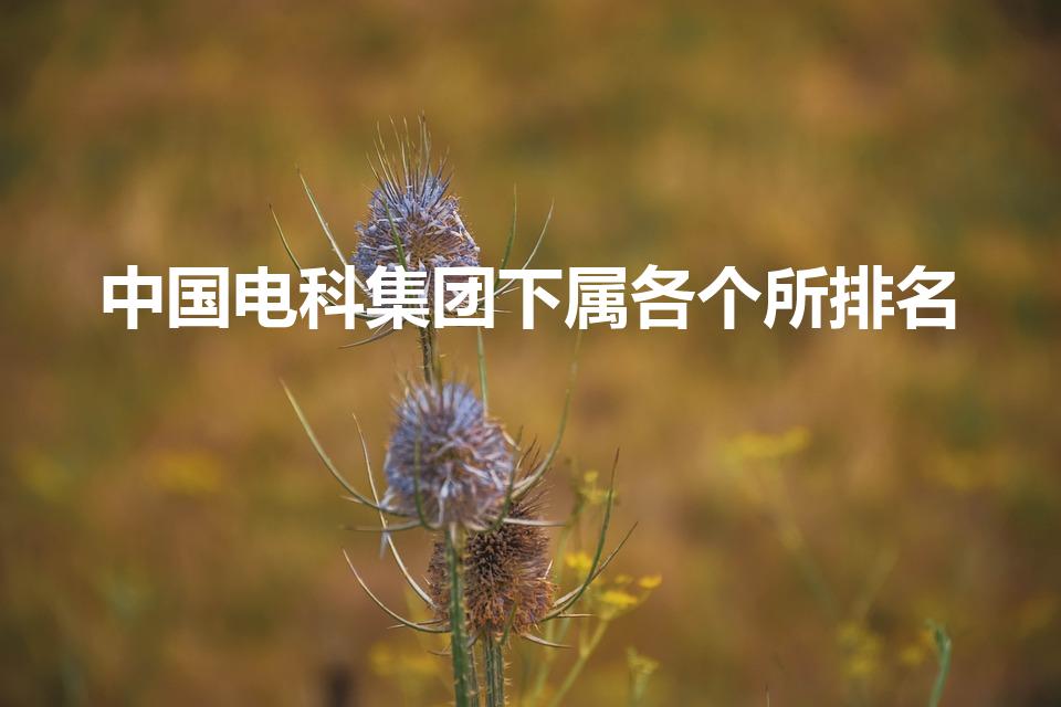 中国电科集团下属各个所排名（中国电建下属单位排名）