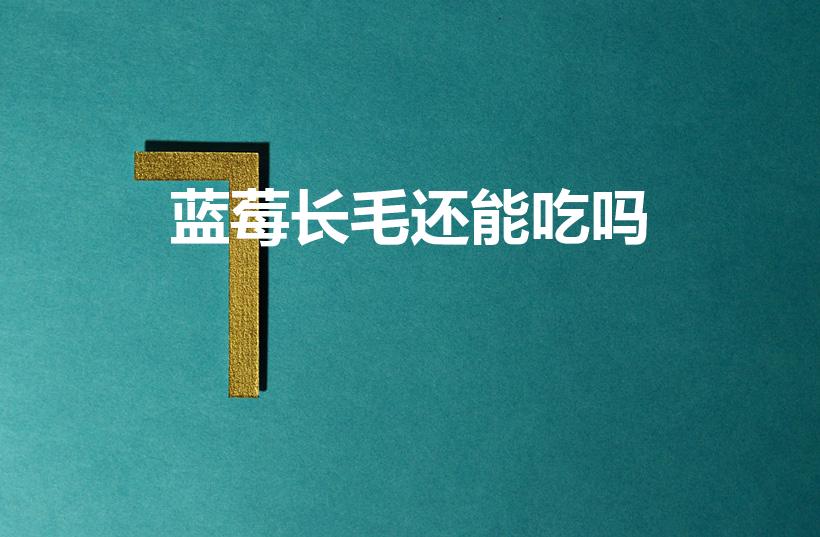 蓝莓长毛还能吃吗（蓝莓发霉了还能吃吗）