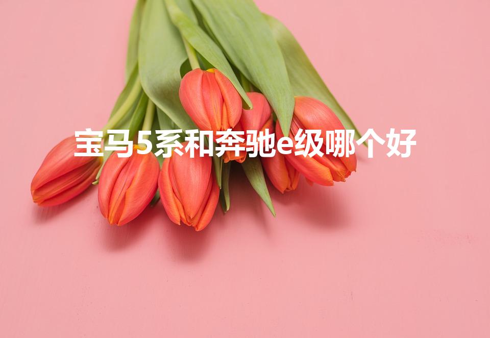 宝马5系和奔驰e级哪个好（宝马5系好还是奔驰E级好）