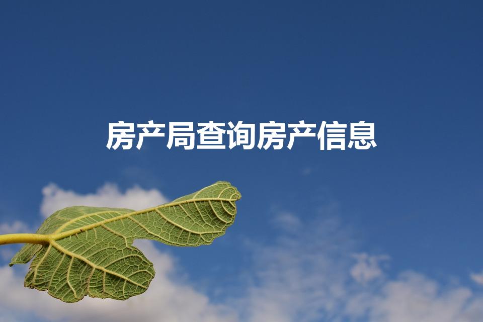 房产局查询房产信息（怎么查房产信息查询）
