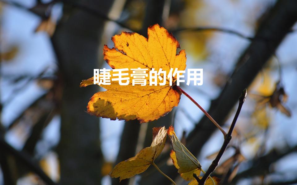 睫毛膏的作用（睫毛打底膏的作用,睫毛打底膏有必要吗）