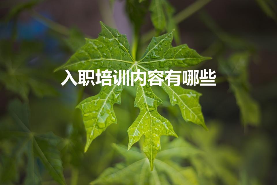 入职培训内容有哪些（新员工培训的内容有哪些）