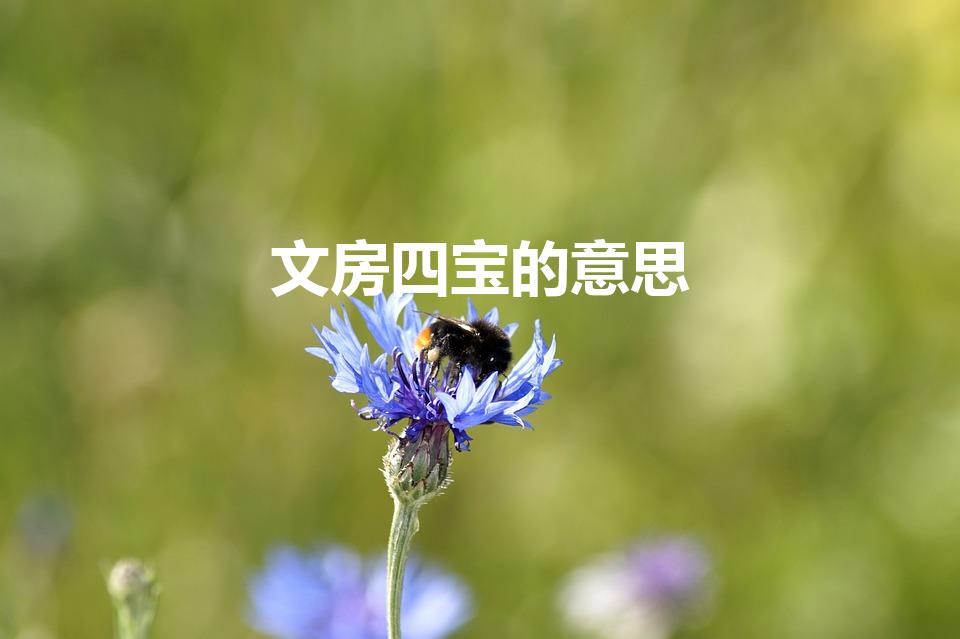 文房四宝的意思(文房四宝是指什么意思)