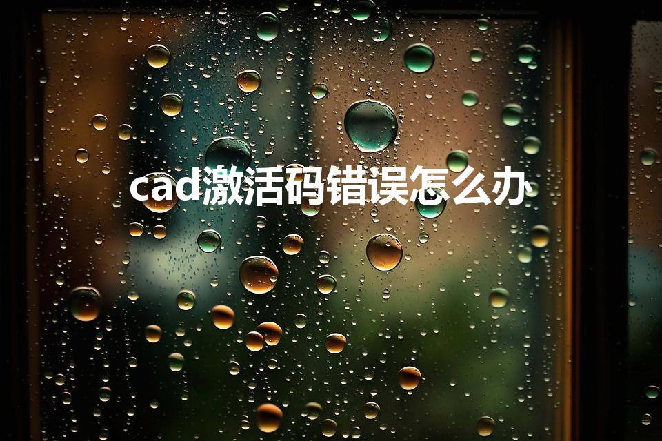 cad激活码错误怎么办