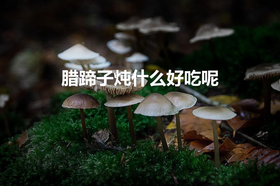 腊蹄子炖什么好吃呢（腊蹄子炖萝卜怎么做）