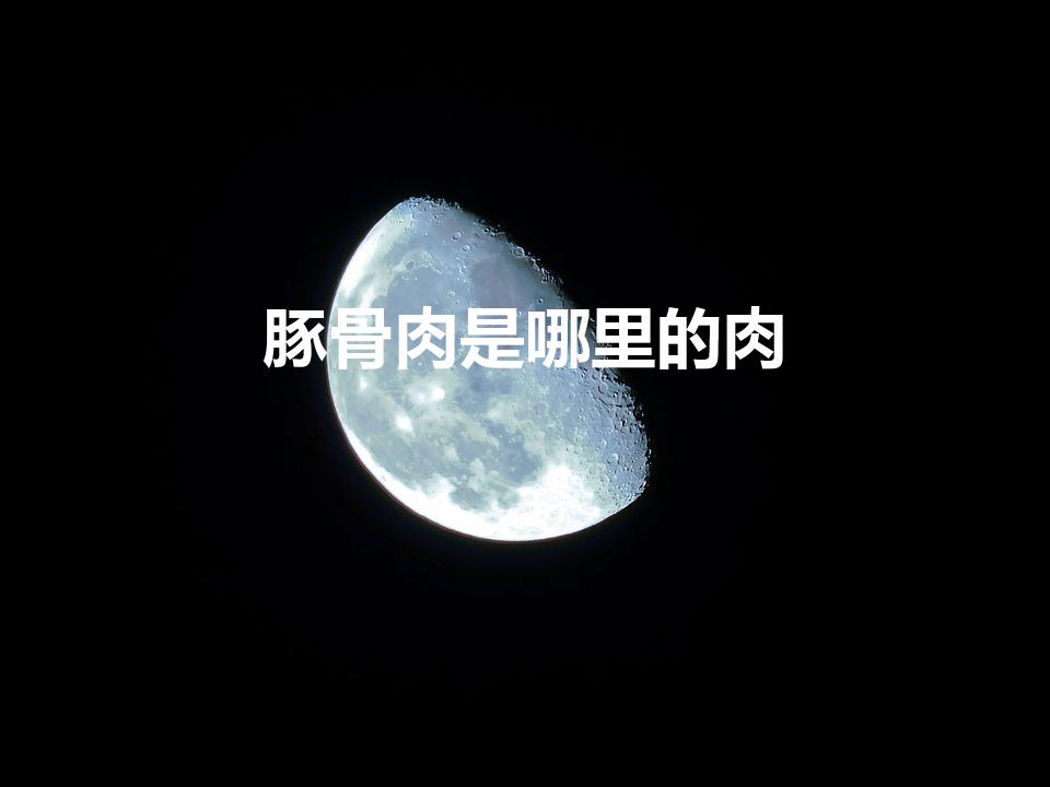 豚骨肉是哪里的肉（豚骨是哪个部位）