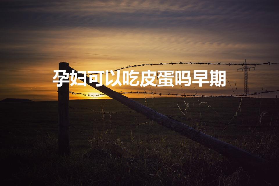 孕妇可以吃皮蛋吗早期（怀孕能吃皮蛋）