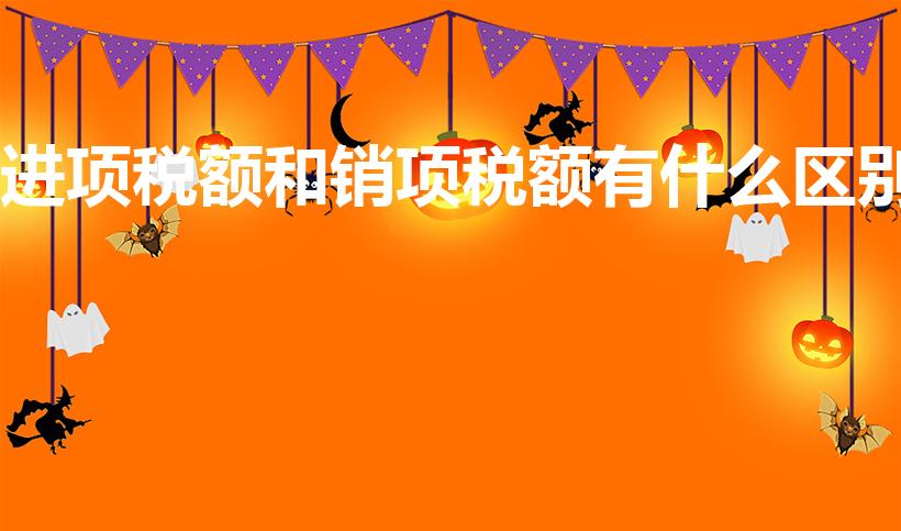 进项税额和销项税额有什么区别（进项税额和销项税额的区别）