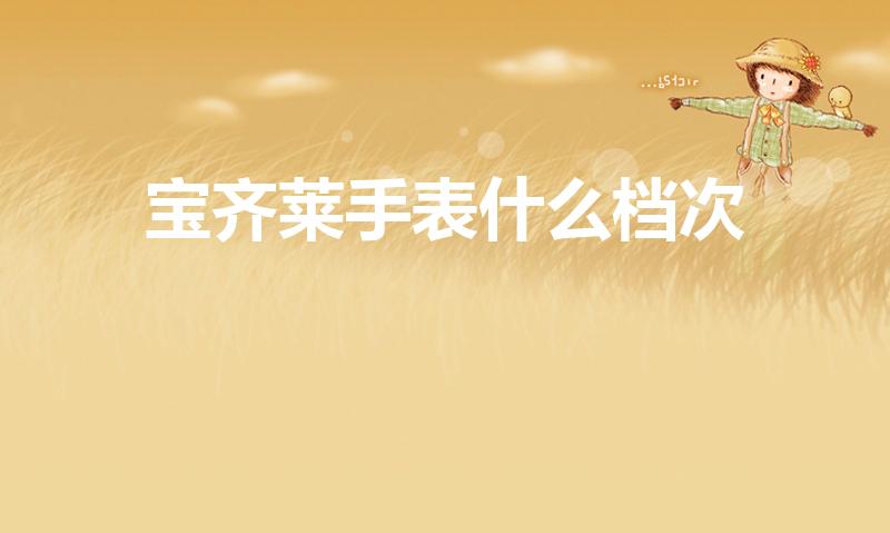 宝齐莱手表什么档次（宝齐莱手表怎么样）