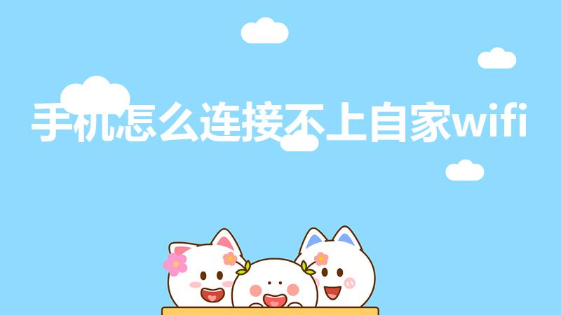 手机怎么连接不上自家wifi