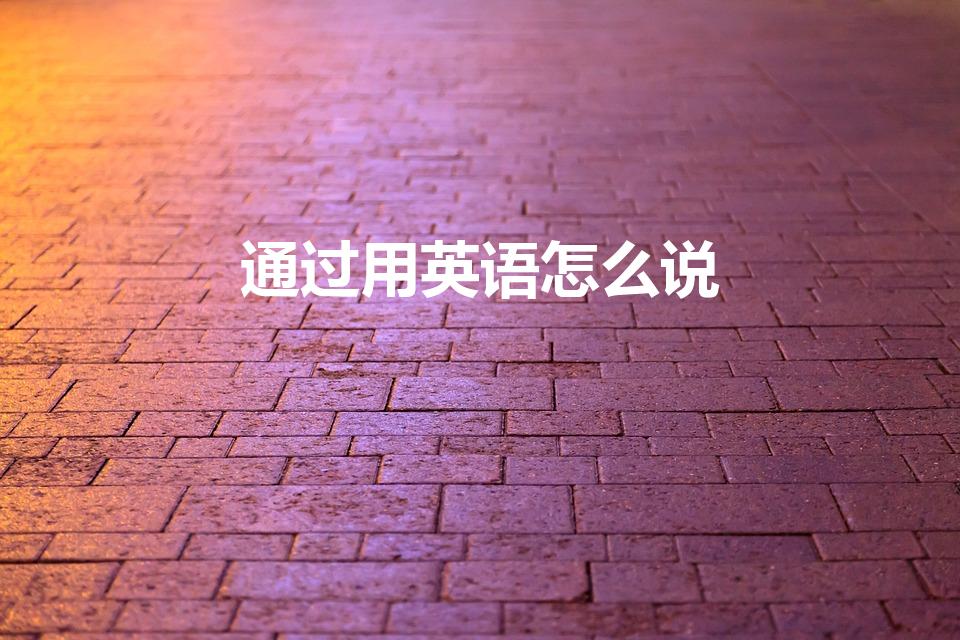 通过用英语怎么说（通过的英语）