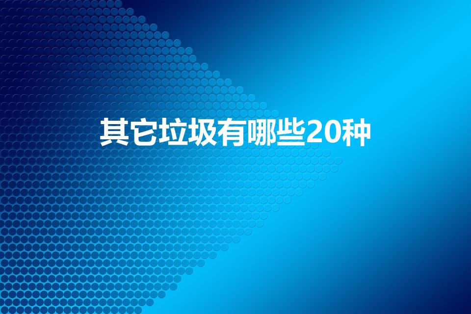 其它垃圾有哪些20种（其他垃圾有哪些）