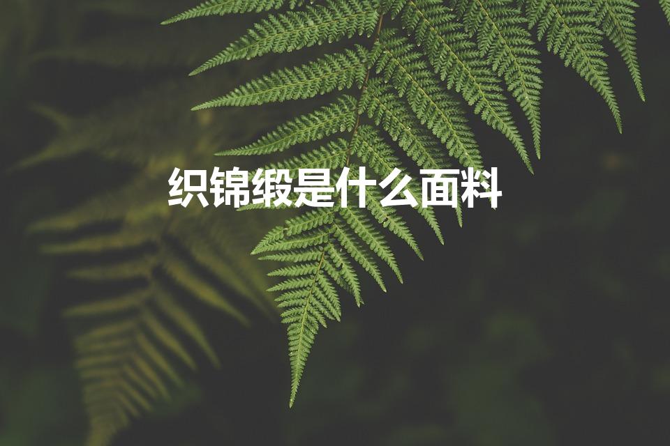 织锦缎是什么面料（锦缎布料是什么面料）