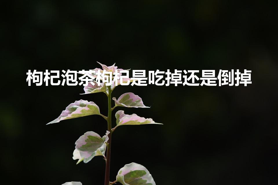 枸杞泡茶枸杞是吃掉还是倒掉