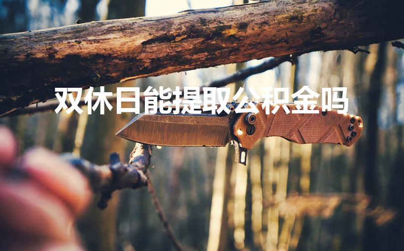 双休日能提取公积金吗（公积金周末可以提取吗）