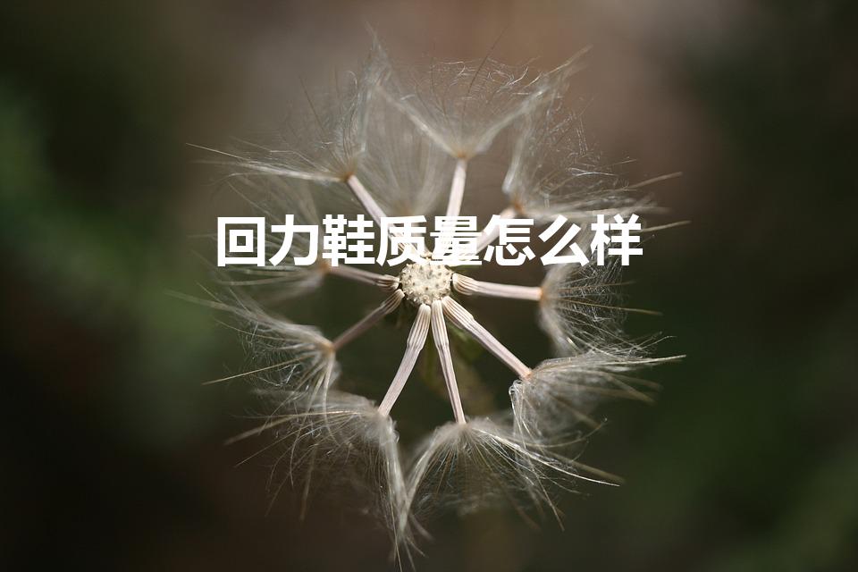 回力鞋质量怎么样（回力鞋是名牌吗）