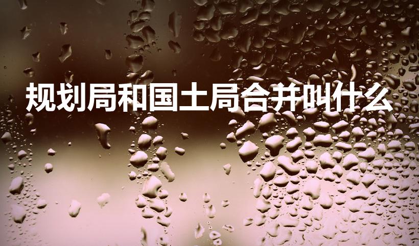 规划局和国土局合并叫什么（国土和规划合并叫什么局）