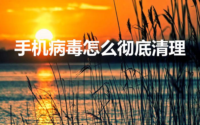 手机病毒怎么彻底清理（手机中病毒了怎么彻底清除）
