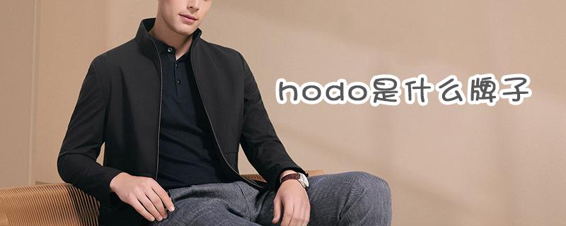 hodo是什么牌子（解析hodo家电品牌）