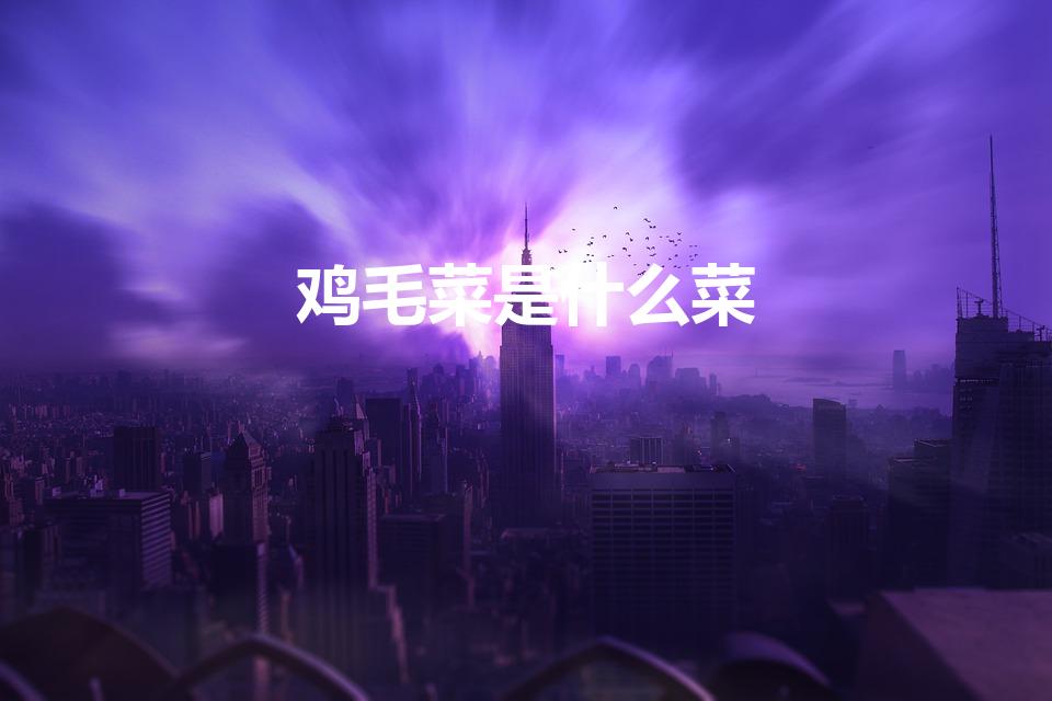 鸡毛菜是什么菜（鸡毛菜俗称是什么菜）