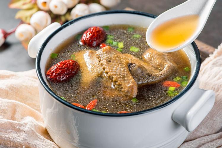 鸽子汤和鸡汤哪个更有营养（从多个角度来进行比较）