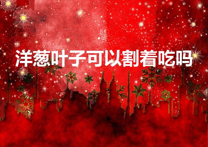 洋葱叶子可以割着吃吗（洋葱的叶子能吃吗）