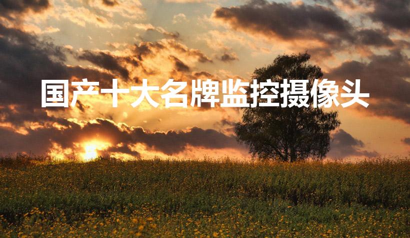 国产十大名牌监控摄像头（室外监控摄像头十大名牌）