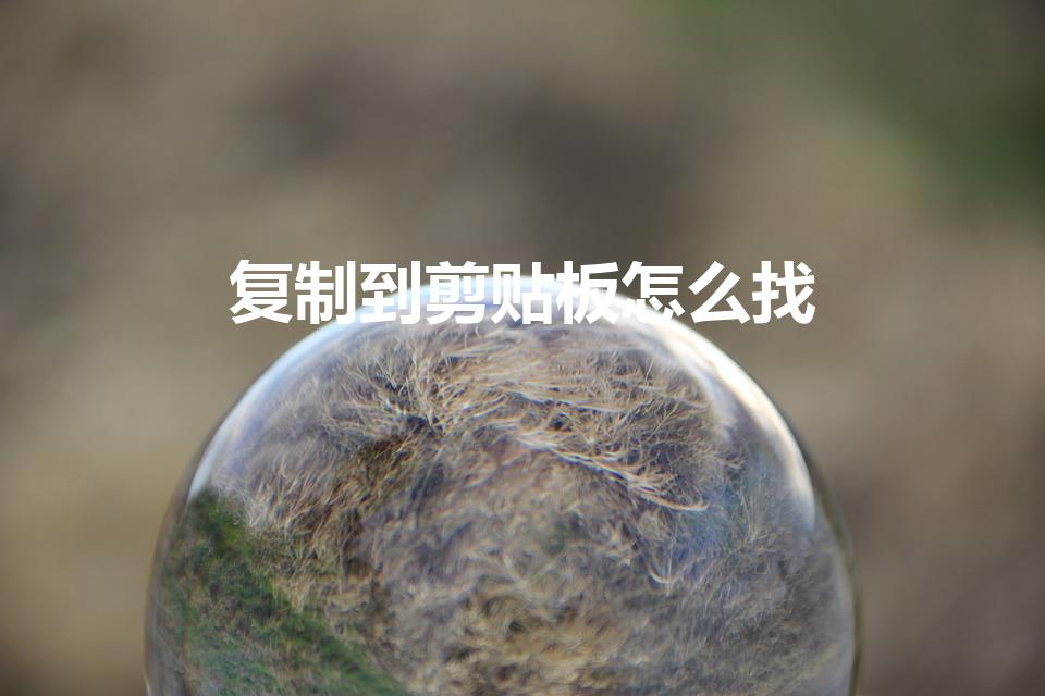 复制到剪贴板怎么找（华为手机的复制剪切板在哪里找）